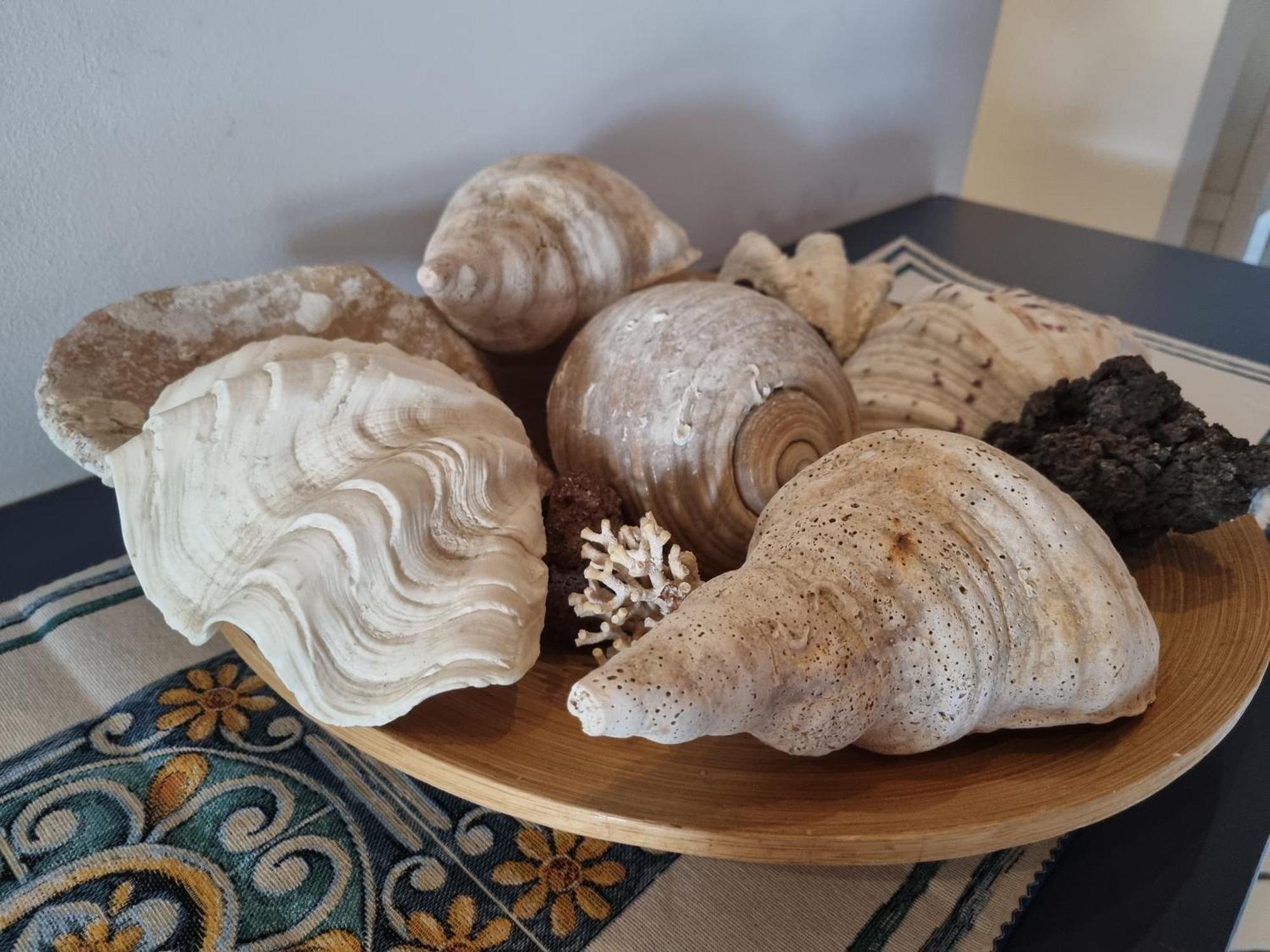 Villa Sicily Sul Mare Tra Catania E Siracusa Augusta Bagian luar foto